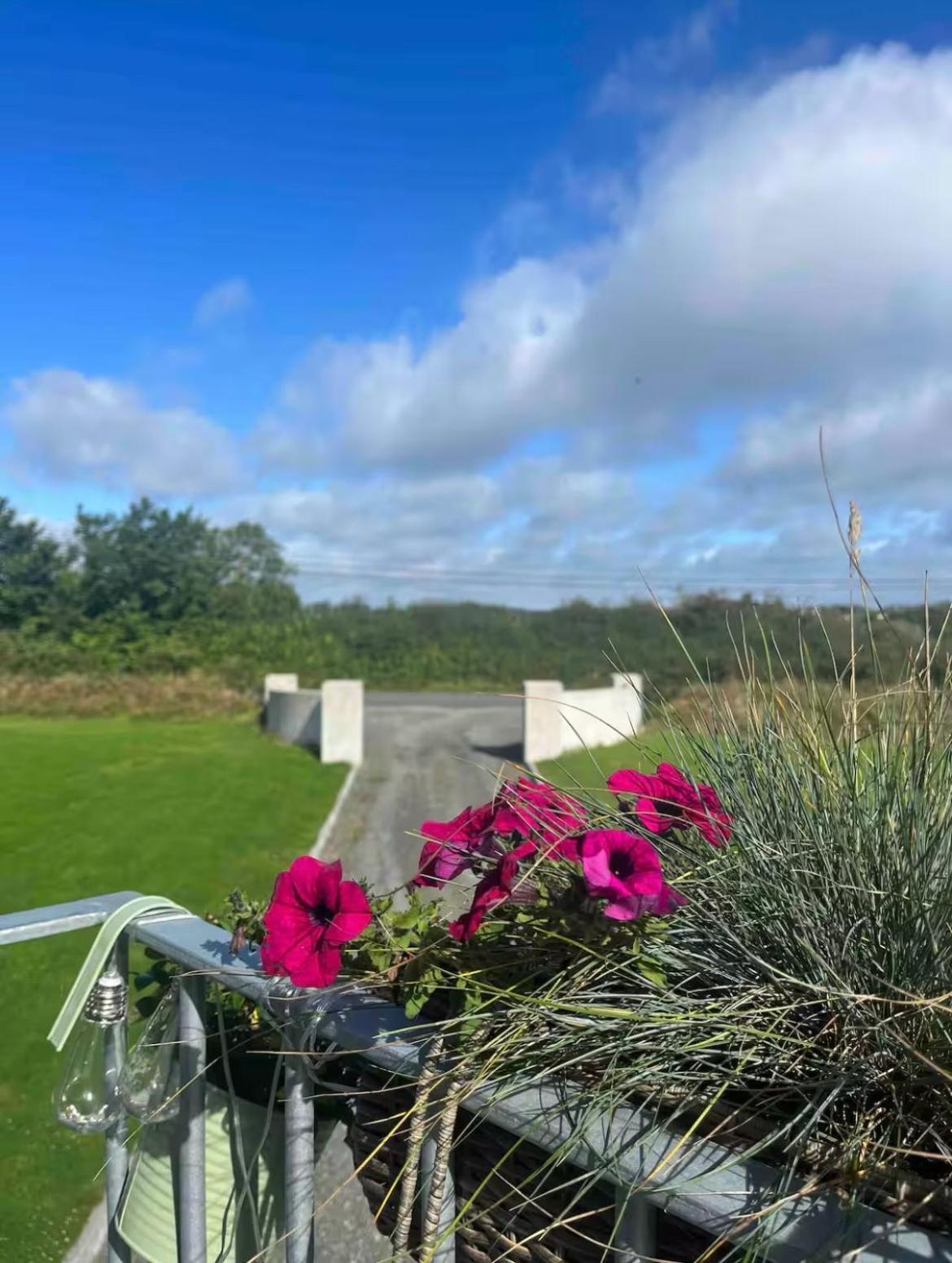 شقة The Loft Curracloe, On Wexfords Coastal Scenic Route المظهر الخارجي الصورة